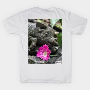 Stoney the Pig and Garvinia T-Shirt